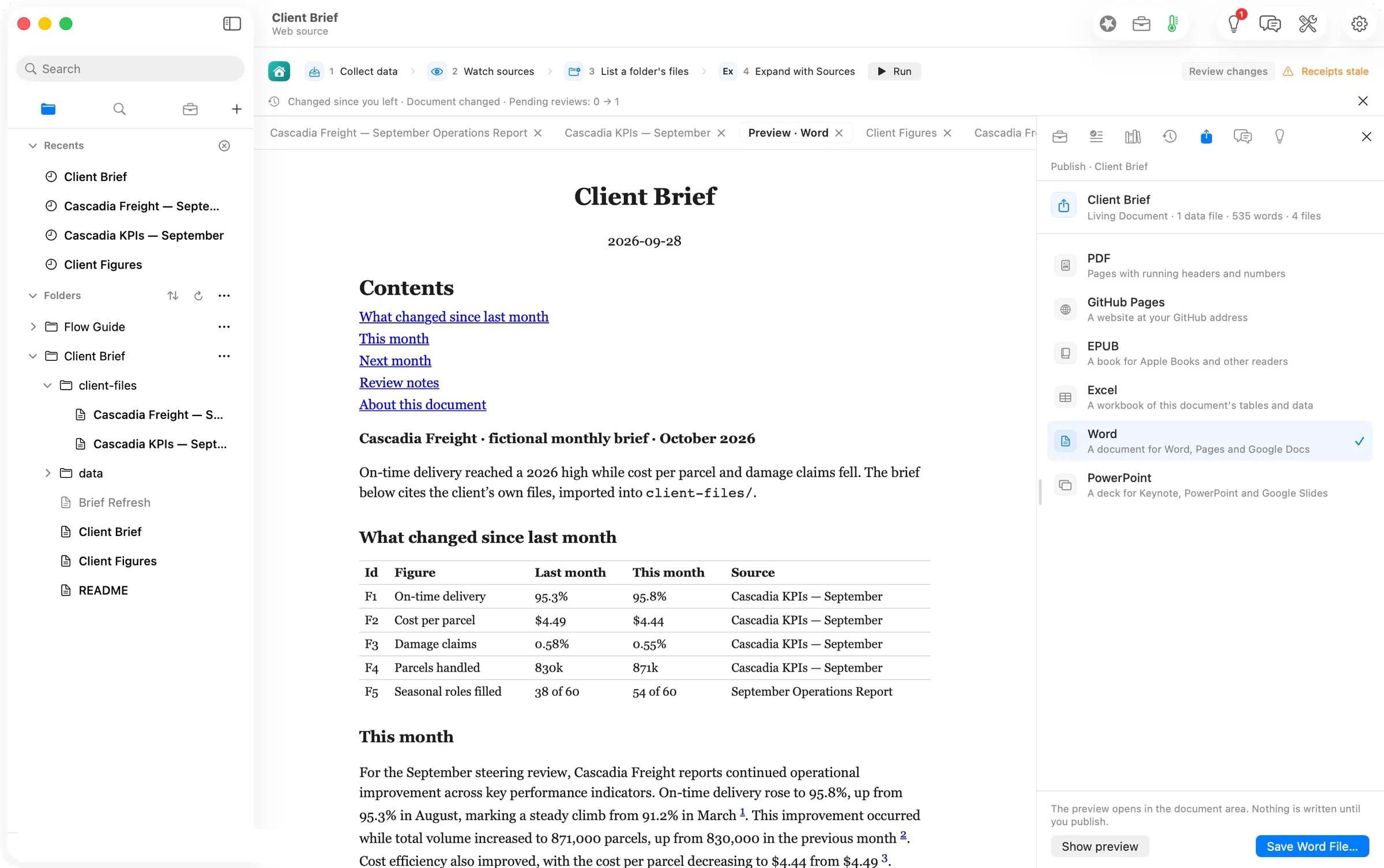 Publishing the brief as a Word document